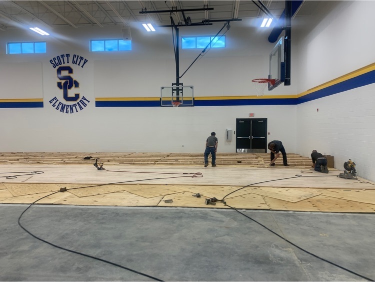 elementary gym floor